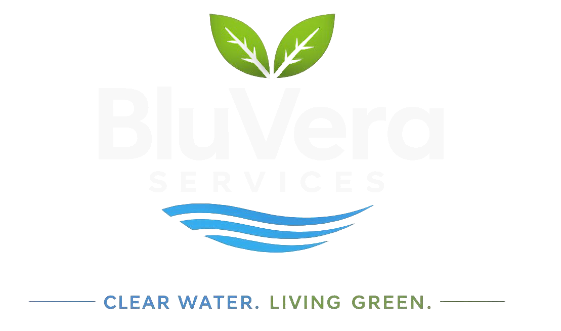 BluVera Services