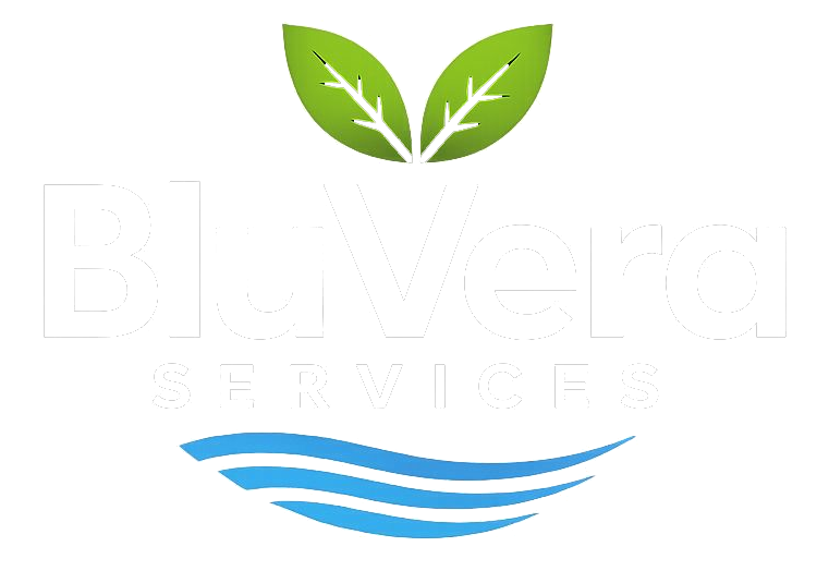 BluVera